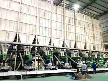 To Create South Korea 24TPH Sludge Sawdust Biomass Pellet Production Line